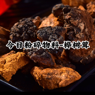 樺樹茸低溫超微粉碎機