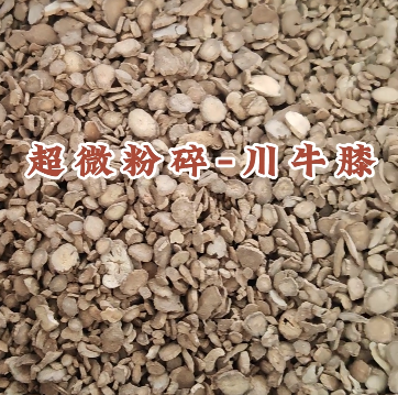 川牛膝低溫中藥超微粉碎機
