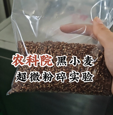 黑小麥低溫超微粉碎機