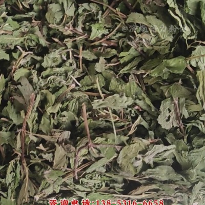 薄荷葉低溫超微粉碎機