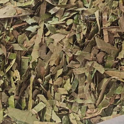 枇杷葉低溫超微粉碎機
