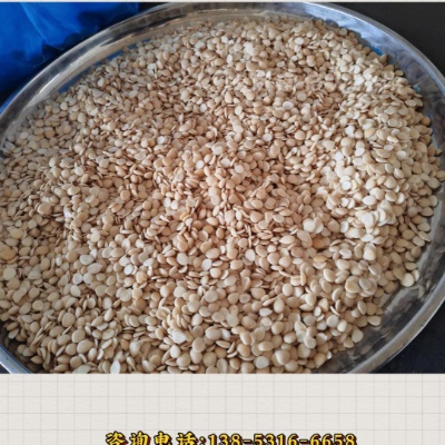 杏仁低溫超微粉碎機