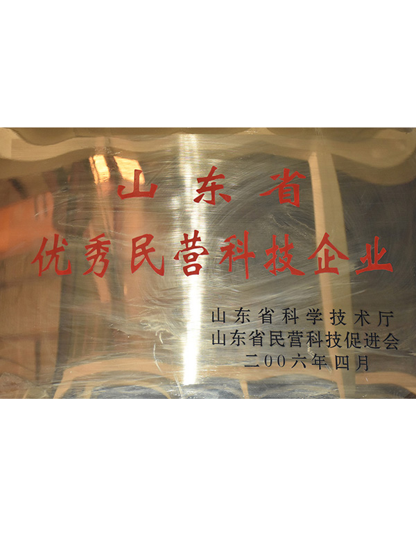 山東省優(yōu)秀民營(yíng)科技企業(yè)